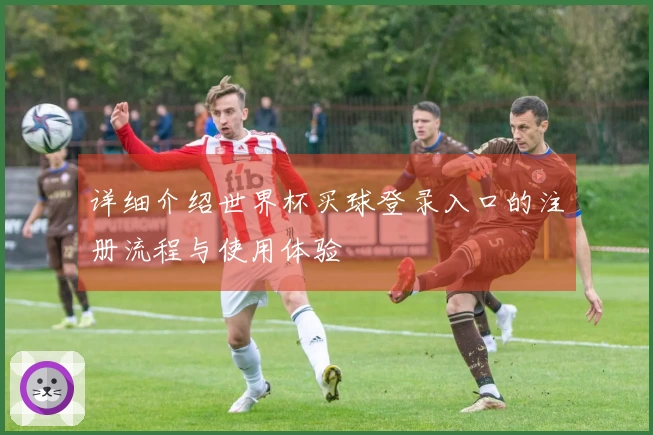 详细介绍世界杯买球登录入口的注册流程与使用体验
