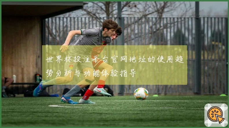 世界杯投注平台官网地址的使用趋势分析与功能体验指导