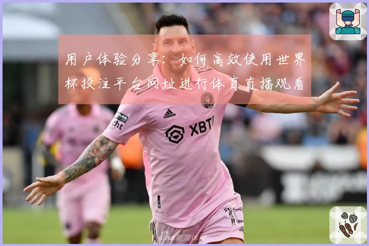 用户体验分享：如何高效使用世界杯投注平台网址进行体育直播观看