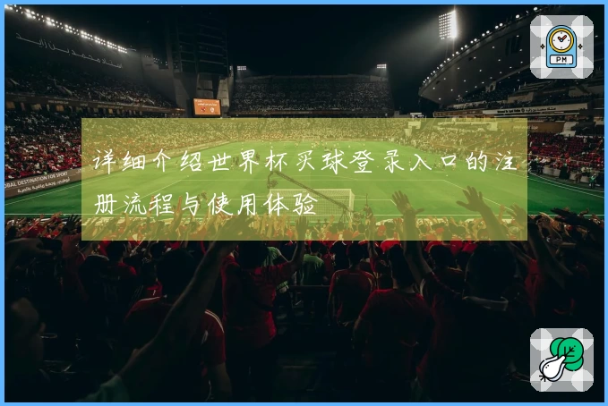 详细介绍世界杯买球登录入口的注册流程与使用体验