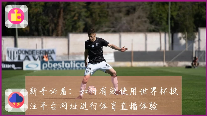 新手必看：如何有效使用世界杯投注平台网址进行体育直播体验