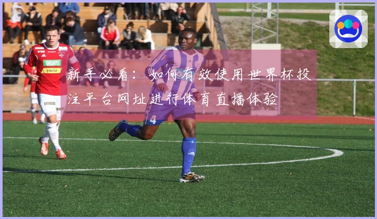 新手必看：如何有效使用世界杯投注平台网址进行体育直播体验