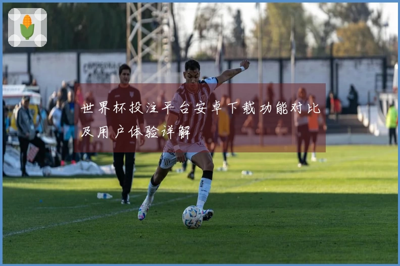 世界杯投注平台安卓下载功能对比及用户体验详解