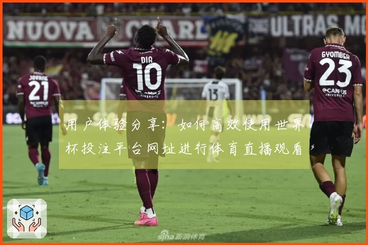 用户体验分享：如何高效使用世界杯投注平台网址进行体育直播观看